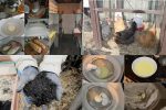 homesteading